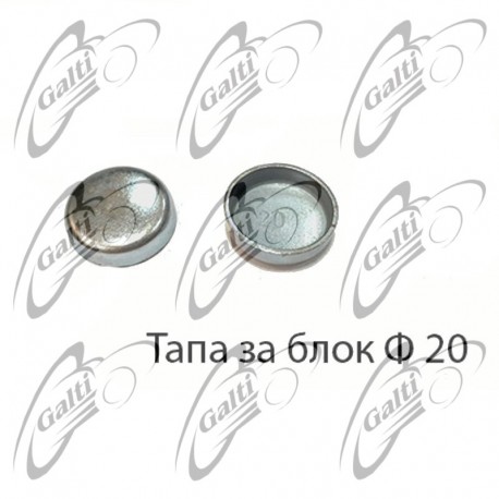 T20