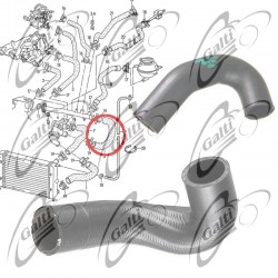 T407929