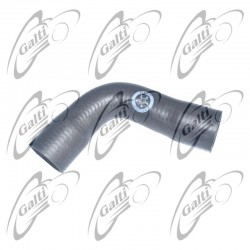 T409541