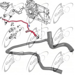 T408975