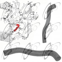 V100061
