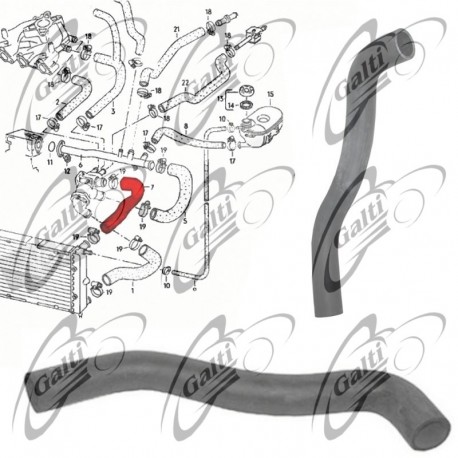 V100061